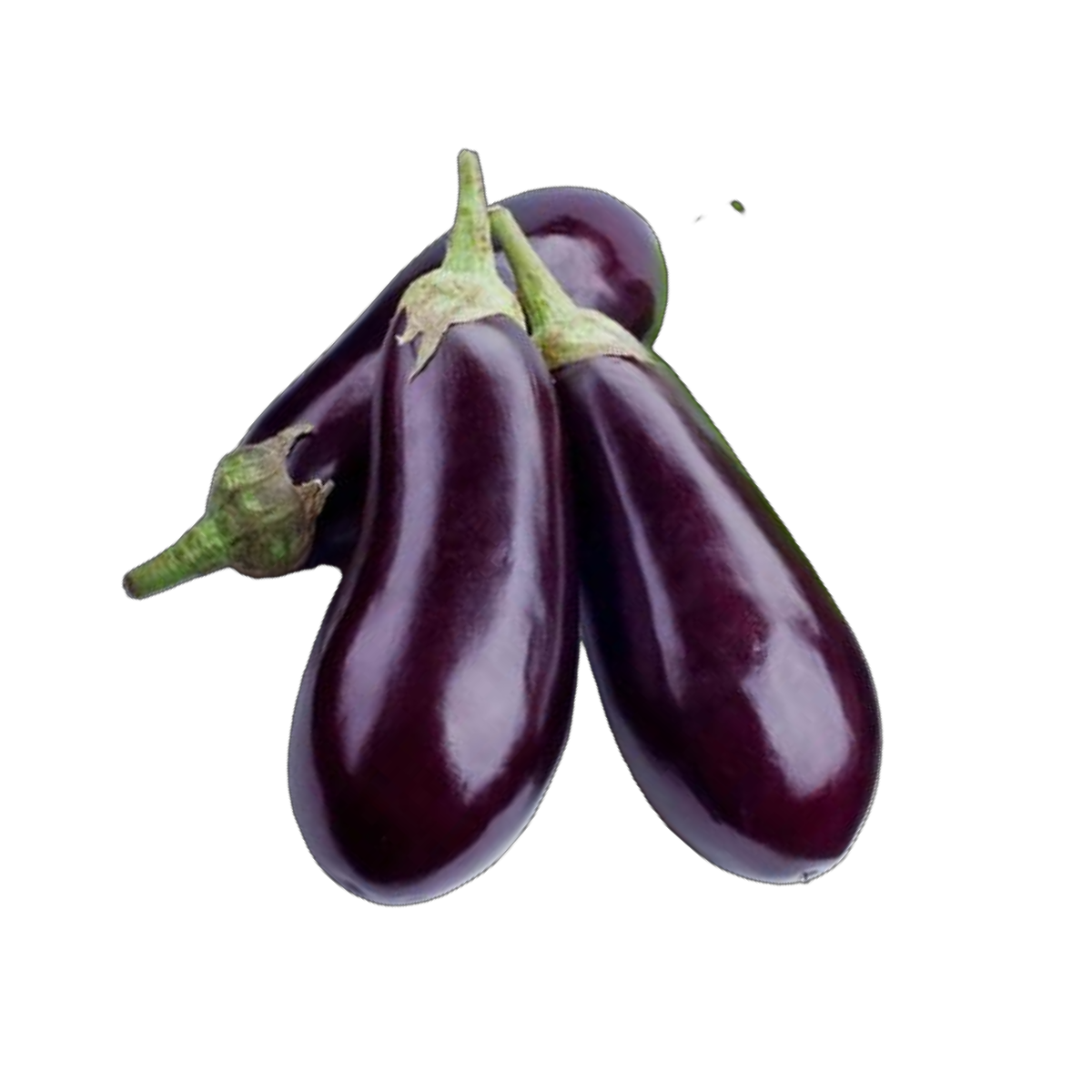 بذر بادمجان